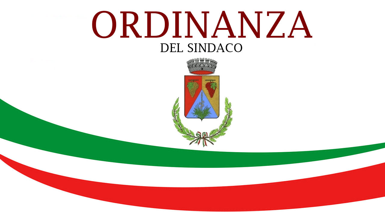 flussio-rdinanze-del-sindaco